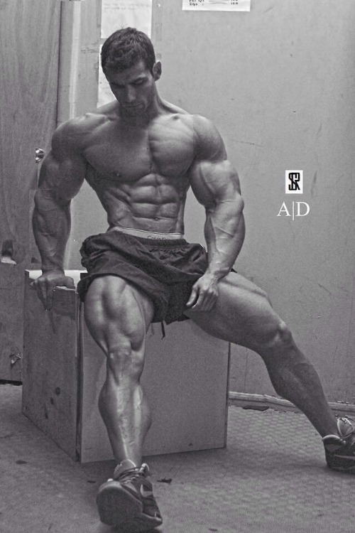 tumblr photo builddudebuild 0