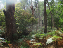 kink-pro-quo:  covertheriver:Hanging Rock Beautiful place.Strange