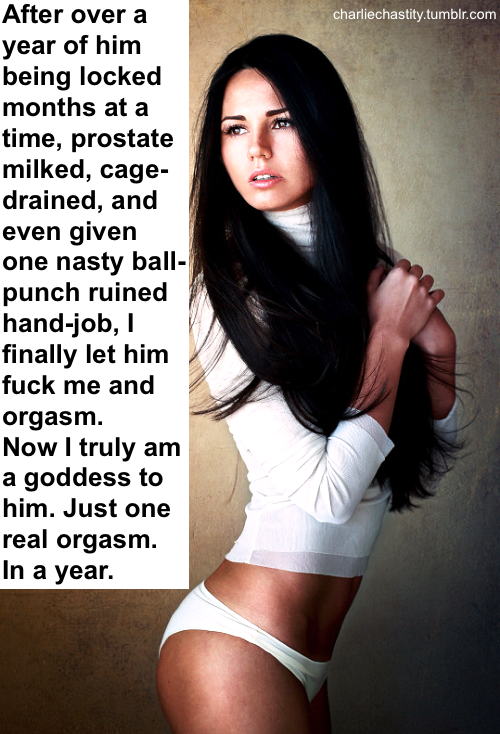 After over a year of him being locked months at a time, prostate-milked,