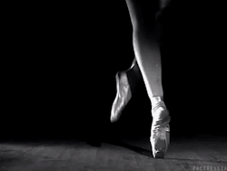 Dark Paradise