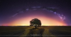 te5seract: The Lone Tree, The Lavender Field and Milky Way &