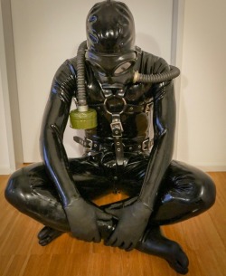 latexjess: rubberscotty: You have misbehaved gimp. You will sit