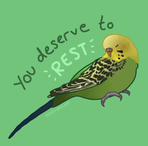 featheredadora:Bird positivity! We all deserve a break, now more