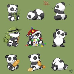 Pick one!    #panda #cute #instagood #likeforlike #pandabear
