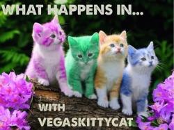 cheeseburgers-in-stereo:  Join @vegaskittycat this Monday, November