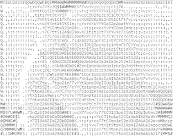 valeriacosme:  Estupido y sensual codigo ascii