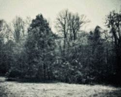 jasonlowder: Remembering Winter