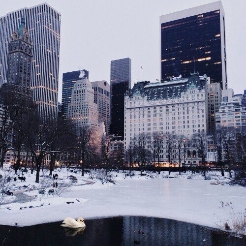 Central Park, New York