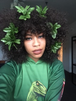 kieraplease:  Jurassic Sp✨rk 