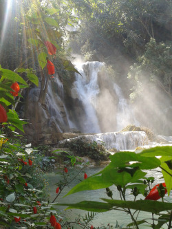 memoirsofanomad:  Kouang Si waterfalls, outside luang prabang,