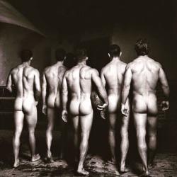 butt-boys:  The lineup. Hot Naked Male Celebs here. Love butts?