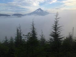 theoregonscout:  My Mt. Hood (as I used to say when I was 4 years