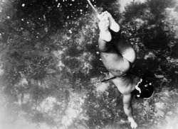 poetryconcrete:Japanese Ama divers, photo by Fosco Maraini.