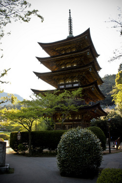 japanesse-life:  Rurikō-ji by Fesapo on Flickr.   gorgeous
