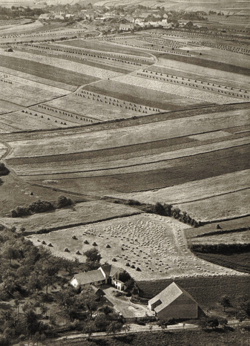 gacougnol:  Josef NosalLandscape near Zebrak 1940’s