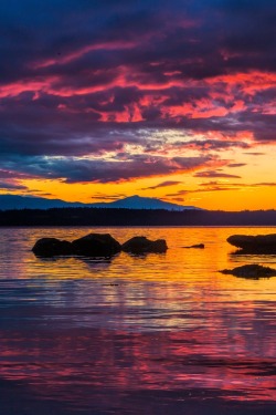 travelbinge: sundxwn:  Phipps Point Sunset, Hornby Island, BC