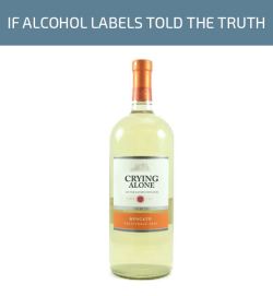 alymayholt:  unamusedsloth:  If alcohol labels told the truth.