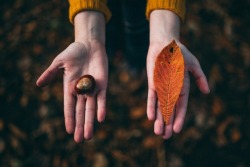 autumnalsoul:    Photo by Felix Russell-Saw on Unsplash  