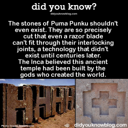 did-you-kno:  The stones of Puma Punku shouldn’t even exist.