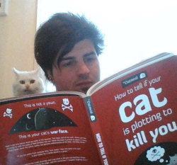 srsfunny:  That Cat Looks Suspicious As Hellhttp://srsfunny.tumblr.com/