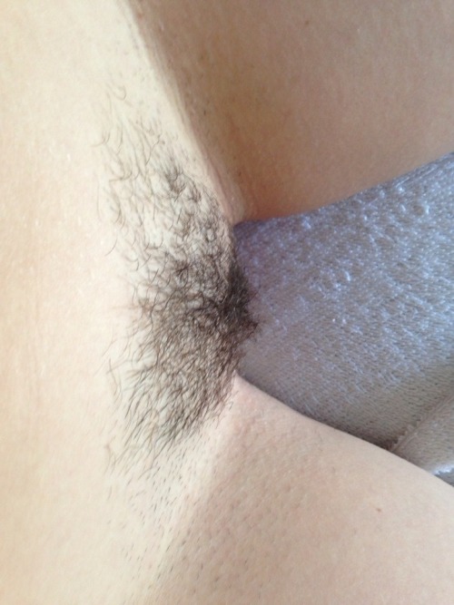 confessionsofateenperv:  Im growing my bush…. heres how it looked this morning :) http://confessionsofateenperv.blogspot.co.uk/ please please please reblog my posts…. i want to get lots of followers :) 