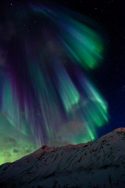 tulipnight:  Aurora Borealis Norway by Marco Egeter   i really
