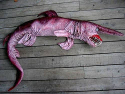 sixpenceee: This Goblin Shark is the only living representative