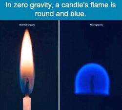weirdsciencefacts:  Flame without gravity