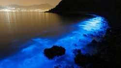 gaksdesigns:  Hong Kong’s Sea Sparkle.The glow is an indicator