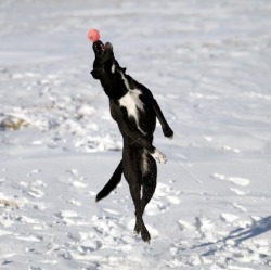 Workin’ on his Rudolph impersonation