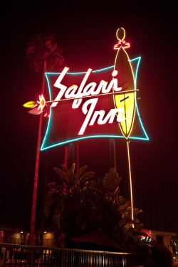 sierz:  Safari Inn Motel, Burbank, California by vegasrob