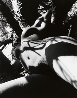 adski-kafeteri2:  LUCIEN CLERGUE  1973 