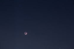 astronomyblog: Conjunction: Moon, Venus and Pleiades - Mecury