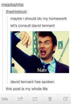 itsstuckyinmyhead:  The Doctor Who Fandom  omg I love this xD