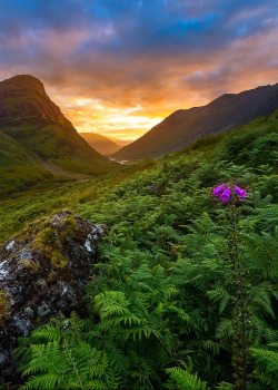 coiour-my-world:Glencoe Valley, Scotland | Grzegorz Piechowicz