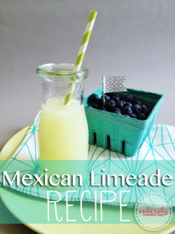guardians-of-the-food:  Mexican Limeade  Just add tequila 😉