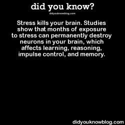 did-you-kno:  Stress kills your brain. Studies show that months