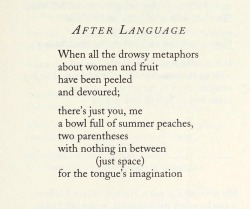 songsforgorgons:“After Language” by Chaia Heller, from My