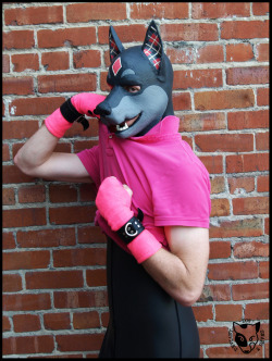 puppy-apollo:  deviantdogsnaps:Super Pup : Neoprene wetsuit