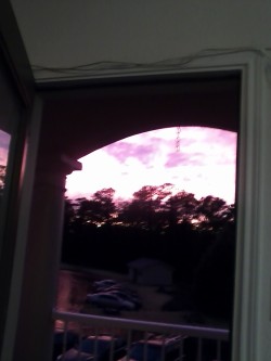 Sunset from my porch door. It was PRETTY!  (photos from celticnightmare’s