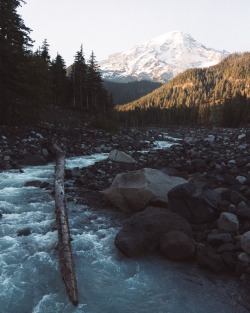 moody-nature: Untitled | By Adrian