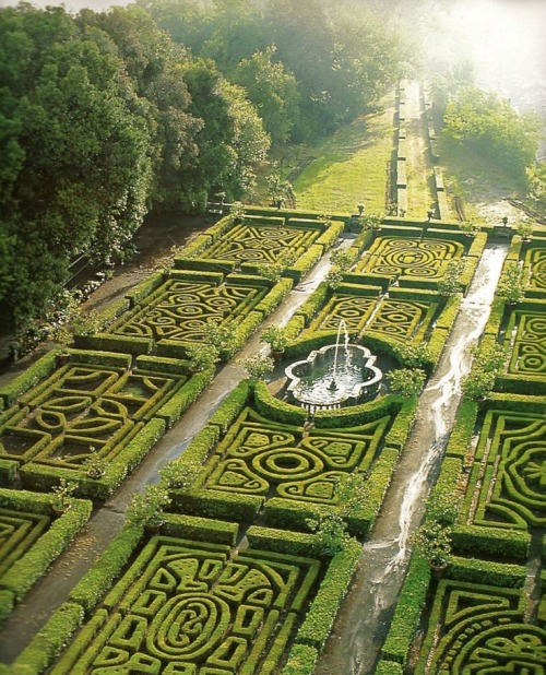 soaveintermezzo:  Maze Gardens presso il Castello Ruspoli Lazio