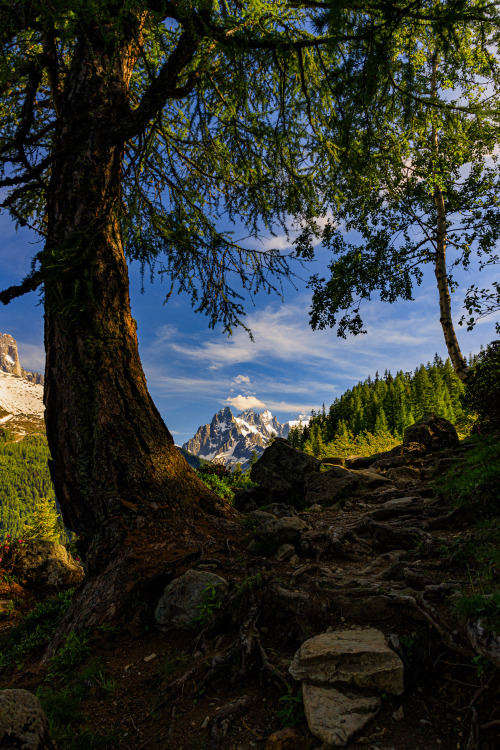 nature-hiking:  Alpine mountain views 28/?   - Tour du Mont Blanc,