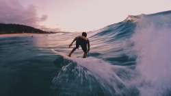 FREE SURF