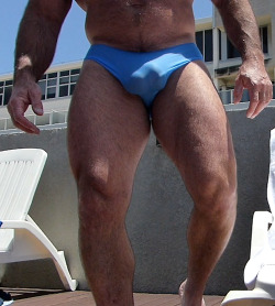 OMG such an awesome looking bulge - WOOF