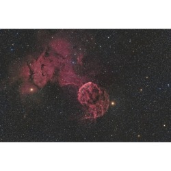 Sharpless 249 and the Jellyfish Nebula #jellyfishnebula #neutronstar