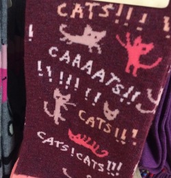 cyanophore:  kuttithevangu:  These socks know what they are about