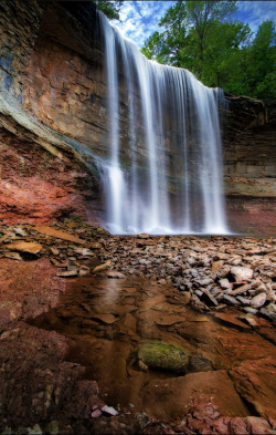 slither-and-scales:  Waterfall and the turtle.  Indian Falls