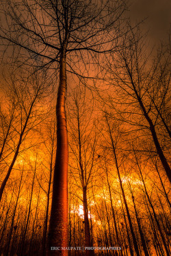 ponderation:  The blaze by Eric Maupate