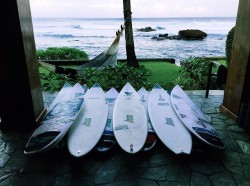 surfing-in-harmony:  